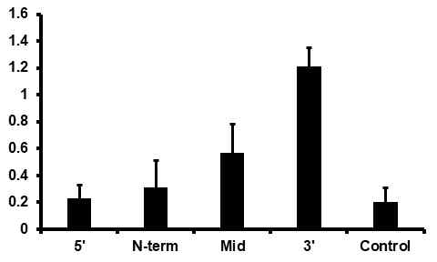 CDC73 Phosphorylation CHiP CDC73의 인산화가 유전자 상의 뒤 부분에서 일어남을 확인 하였으며, 이에 의하여 mRNA의 안정성에 영향을 줄 것으로 생각