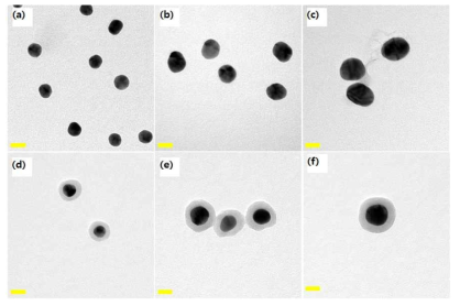 합성한 플라즈모닉 Au 나노 입자들의 TEM 이미지 (Au18 (a), Au27 (b) Au34 (c), Au18@SiO2 (d), Au27@SiO2 (e) and Au34@SiO2 (f). 각 scale bar: 20 nm)