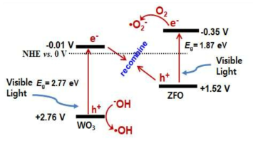 ZnFe2O4/WO3 접합 구조 광촉매에 있어서 전하이동 모식도