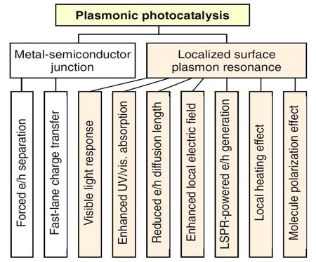 플라즈모닉 광촉매에서 chargeseparation과 LSPR effect에 의한 다양한 효과