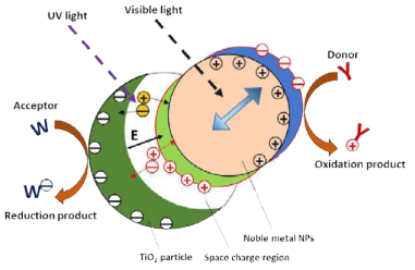 Plasmonic photocatalyst에서의 전하이동에 따른 산화환원 반응 모식도