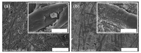 (a) 순수 종이 및 (b) 알루미늄 종이의 SEM 측정 결과 (scale bars: 100 μm (inset: 10 μm))