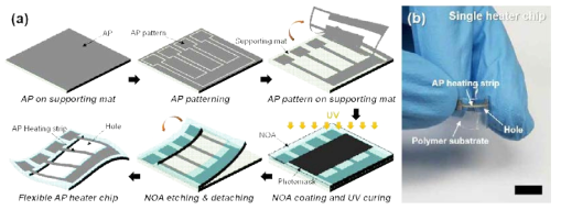전도성 종이 기반 히터 칩 제작. (a) 제작 공정 모식도, (b) 제작된 히터 칩의 디지털 이미지 (scale bar: 10 mm)
