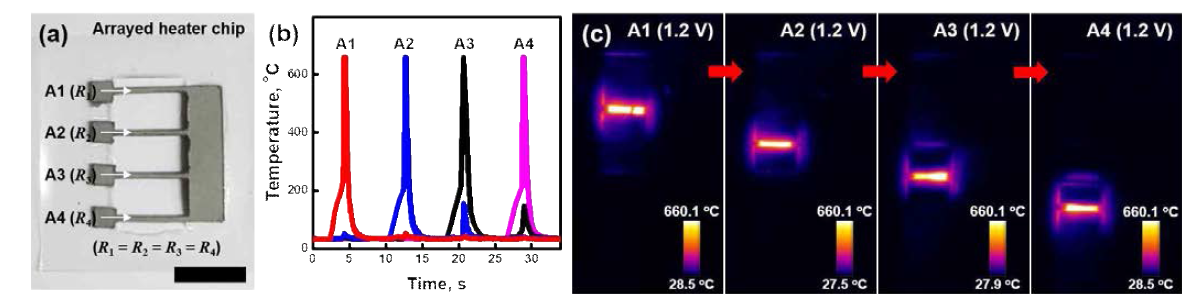 전도성 종이 기반 다중 배열 히터 칩. (a) 제작 결과 (scale bar: 10 mm), (b) 선택적인 전압 인가에 대한 각 히터 라인의 온도 특성 (전압 인가 순서: A1→A2→A3→A4), (c) 각 히터 라인에 1.2 V 의 전압이 선택적으로 인가될 때의 열화상 카메라 이미지