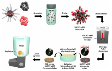성게형 탄소나노튜브, Al 나노입자, CuO 나노입자를 기반으로 하는 고에너지물질 펠렛 제조 공정 및 광학적 수중 점화 개략도