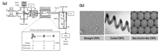 (a) 레이저 증발법 기반 프랙탈 나노입자 생성 및 응집/용융화 공정을 이용한 나노입자 성장 메커니즘 연구 개략도, (b) 열화학증착공정의 온도 및 이중복합금속입자의 화학적 조성변화에 의한 탄소나노구조체 구조제어 결과
