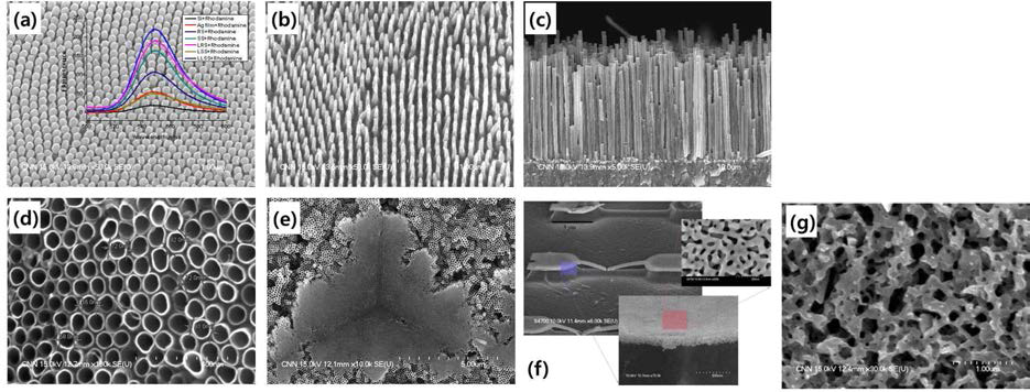 템플릿 기반 다양한 모양의 금속 나노구조체 형성기술: (a), (b) AAO 템플릿 기반 물리증착법에 의한 나노구조체, (c) 전기화학법 기반 나노와이어, (d) 양극산화기술 기반 TiO2 나노튜브 및 (e) 나노인덴테이션 압흔 사진, (f) free-standing 나노기공 와이어의 나노인덴터를 이용한 deflection시험 후의 SEM 사진, (g) 나노기공 Cu