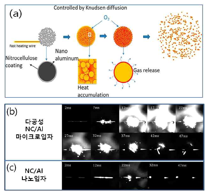 (a) 정전분무공정에 의한 NC 박막이 코팅된 Al 마이크로 입자의 생성 및 열적 점화 시 폭발 메커니즘 개략도 및 T-jump 와이어 저항 코일에 의한 (b) NC/Al 마이크로입자와 (c) NC/Al 나노입자의 점화 시 폭발 반응성 고속카메라 측정 결과 Snapshots