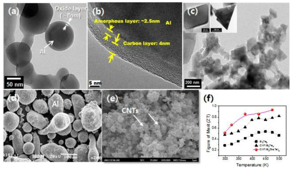 (a-c) 선행연구로 합성된 nEM용 Al 나노입자, (d) 마이크로 Al 분말 (e-f) CNT 열전분말 및 특성