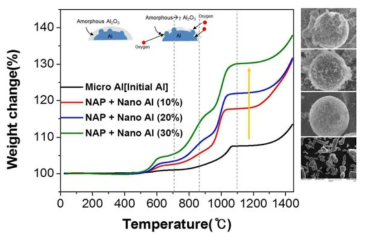 플라즈마 기상공정 기술을 통해 구현된 Nano/Micro Al 분말의 산화거동 및 산화 기구 예측