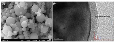 (a) 기상법으로 제조된 Al 나노입자 SEM 및 (b) Al 나노입자 표면 산화층 TEM 이미지