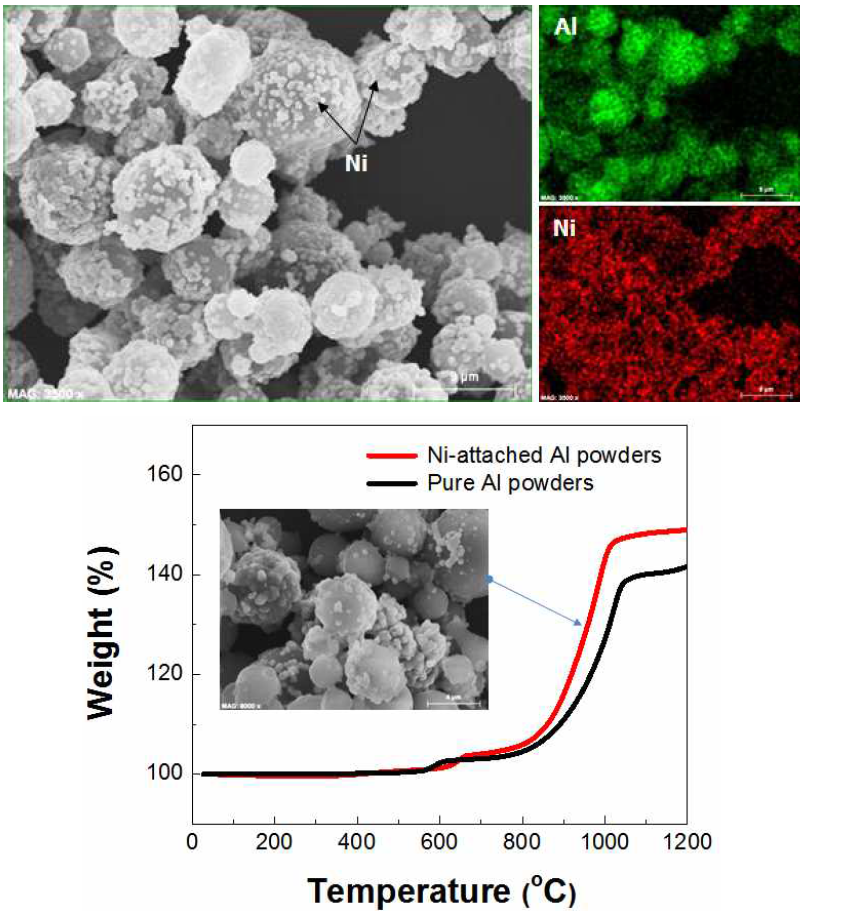 (상) Ni 나노입자가 5 마이크로급 Al 분말에 부착된 분말 SEM 사진과 EDS 결과, (우) Ni 부착된 Al 분말과 순수한 Al 분말의 TGA 결과 비교