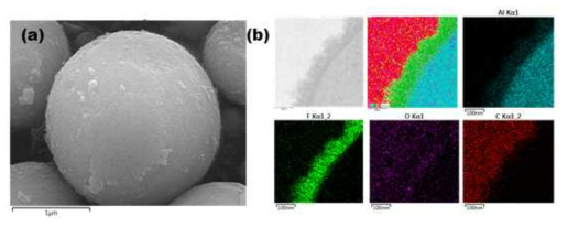 2 ㎛ 급 Al분말 표면 PVDF코팅 결과 (a) SEM 표면 사진, (b) 코팅층 EDS 분석결과