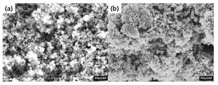 (a) 고분자 입자와 구리 전구체용액을 혼합하여 제조한 나노다공성 구조의 SEM 이미지 및 (b) 고분자 용액과 구리 전구체용액을 혼합하여 제조한 나노다공성 구조의 SEM 이미지