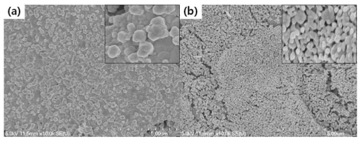 나노다공성 CuO 박막의 SEM 이미지: (a) 질산구리 용액만을 이용하여 열처리한 CuO 박막; (b) 고분자 용액과 질산구리 용액을 혼합하여 열처리 한 CuO 박막