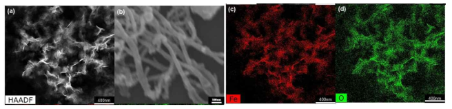 M13 박테리오파지 기반 Fe2O3 나노와이어 (a) HAADF(high-angle annular dark-field imaging), (b) TEM image 및 (c) & (d) EDS를 통한 성분 분석 결과