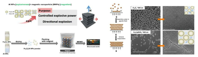 (좌) 자성 나노입자와 알루미늄 나노입자의 자기장에 의한 3D 혼합체 어셈블리 개략도와 (우) 자성나노입자와 알루미늄 입자사이의 거리 조절을 위한 200 nm 급의 자성 나노입자합성과 3D 위성구조의 나노구조체의 혼합 패킹 개략도