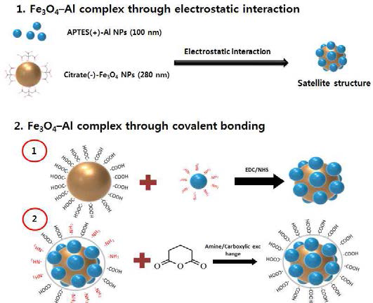 자성 나노입자와 알루미늄 나노입자를 위성모양으로 어셈블리를 위한 정전기적 결합/공유결합 전략 개략도