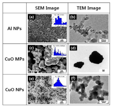 Al 나노입자와 CuO 마이크로/나노입자의 SEM 및 TEM 분석 이미지