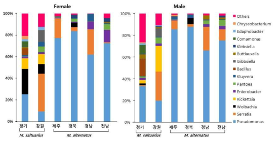 분포지역, 성별, 종에 따른 하늘소 마이크로비옴 구성 비교
