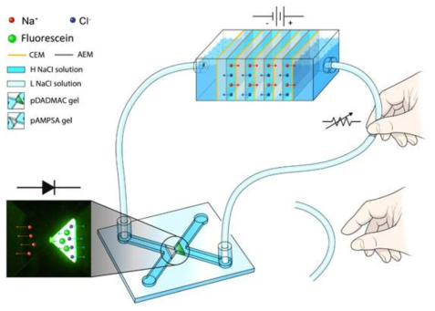 RED 기반 마이크로칩 기반 완전 이온 회로의 구동 모습. 전원부와 회로의 연결은 전해질이 채워진 플라스틱 튜브를 통해 이루어짐. 이는 순수하게 이온과 전해질로만 작동하는 시스템. (CEM: 양이온 교환막, AEM: 음이온 교환막, H NaCl: 고농도 NaCl, L NaCl: 저농도 NaCl)