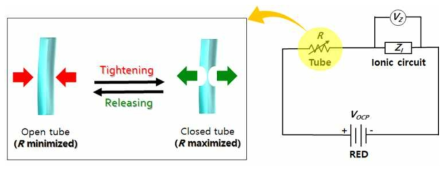 전해질로 채워진 전원-회로 연결 튜브의 신축 특성과 이를 이용한 스위치 및 가변 저항으로서의 확장 가능성