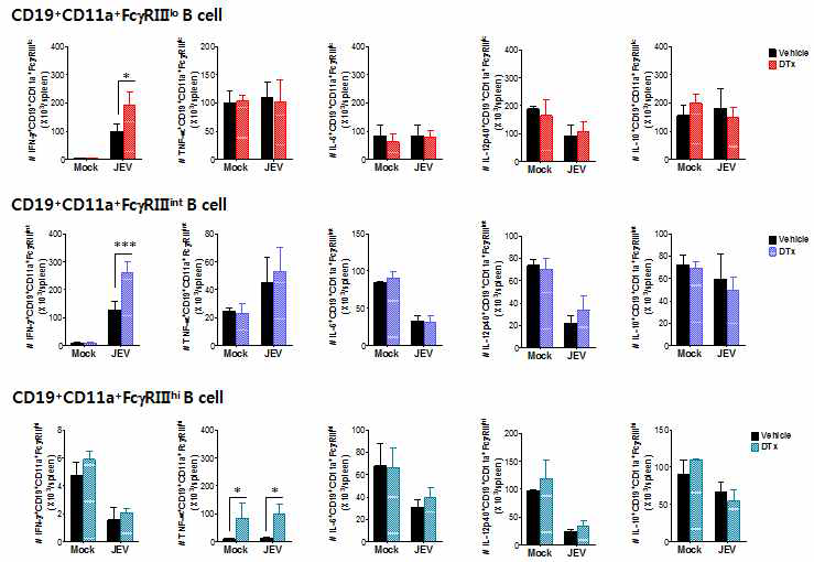 사이토카인 발현 CD19+CD11a+FcγRIIIint Binnate 세포의 총 세포수. BDCA2-DTR 마우스에 DT 주입 후 바이러스 감염 후 24시간째에 비장 세포 준비하여 CD19+CD11a+ FcγRIIIintBinnate 세포로부터 IFN- γ, TNF-α, IL-6, IL-10 및 IL-12p40의 발현을 분석