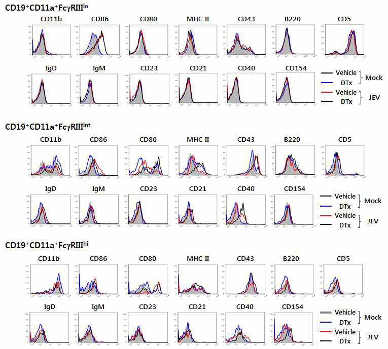 CD19+ B cell subset들이 phenotype 분석. BDCA2-DTR 마우수에 DT 주입 후 CD11cintPDCA-1hi pDC를 제거하고 뇌염바이러스 감염 후 비장에 존재하는 CD19+ B cell subset (CD19+CD11a+FcγRIIIlo, CD19+CD11a+FcγRIIIint, CD19+CD11a+FcγRIIIhi)들의 phenotype을 분석