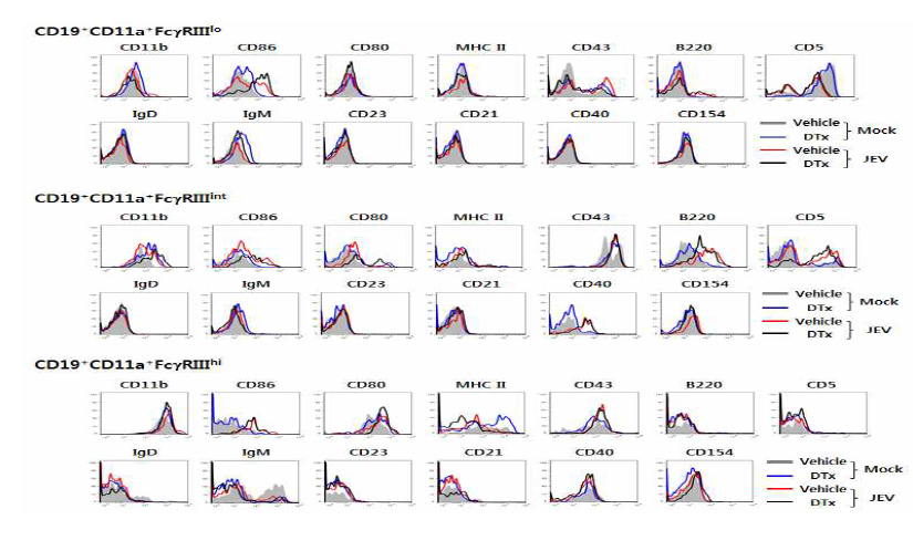 CD19+ B cell subset들이 phenotype 분석. BDCA2-DTR 마우수에 DT 주입 후 CD11cintPDCA-1hi pDC를 제거하고 뇌염바이러스 감염 후 peritoneal cavity에 존재하는 CD19+ B cell subset (CD19+CD11a+FcγRIIIlo, CD19+CD11a+FcγRIIIint, CD19+CD11a+FcγRIIIhi)들의 phenotype을 분석