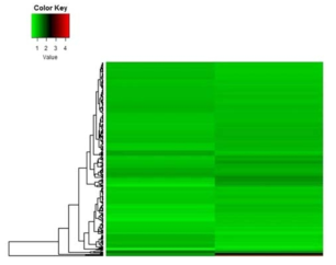 BPS에 노출된 제브라피쉬 치어에서 유의하게 변화된 miRNA의 hierarchical clustering(좌). 빨간색은 상향 발현을 나타내며, 녹색은 하향 발현을 나타냄
