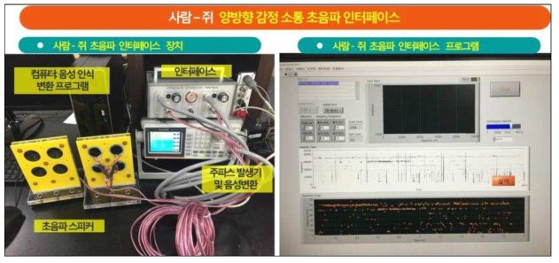 완성된 사람-쥐 양방향 감정소통 초음파 인터페이스