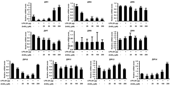 LPS로 인한 염증 유도 후 아연이온 처리를 통한 ZNTs의 mRNA 발현 비교