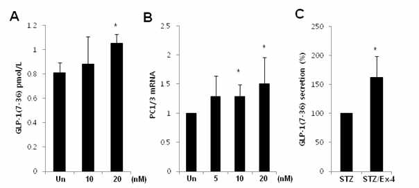 Exendin-4에 의해 αTC1-9와 STZ 처리한 islet에서 GLP-1의 분비가 증가함. (A-B) 알파세포주 αTC1-9에서 Exendin-4 0, 10, 20 nM 농도에 따라 GLP-1의 분비량이 유의적으로 증가하였고 PC1/3 mRNA 발현도 증가함. (C) 마우스의 islet을 얻어 STZ 처리한 후 알파세포가 약 60% 이상 존재하는 islet 세포군에서 GLP-1의 분비량이 유의적으로 증가함을 확인함. (± SE, * P<0.05)
