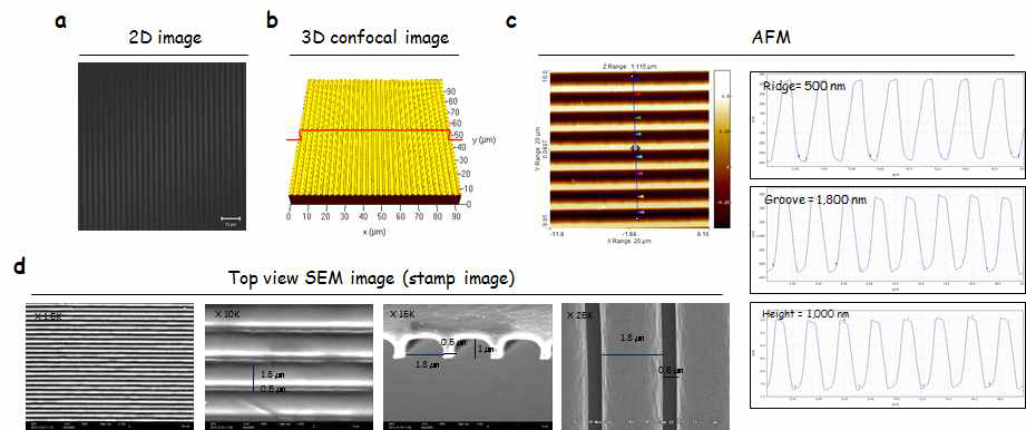 패턴 이미지. a. 광학현미경 이미지, b. 공초점현미경, c. AFM, d. 전자현미경
