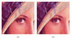 노이즈 제거 알고리즘 : (a) 원본 이미지 (b) 노이즈 제거 후 이미지