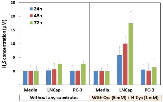 살아있는 전립선 암 세포 LNCaP와 PC-3 세포에서 종이 기반 황화수소 검출어세이를 통해 측정된 황화수소 발생량