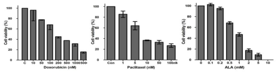 Doxoruibin, Paclitaxel, ALA 투여에 따른 미분화갑상선암 세포주의 성장 분석