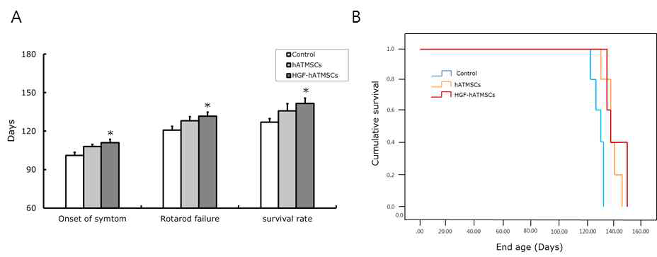 운동신경원병 마우스모델에서 HGF-hATMSCs의 치료 효능평가. A. 질병 징후 분석(hind limb 마비 onset 시점). 운동능력평가(rotarod failure test) 및 생존능 분석, B. 생존시간 곡선