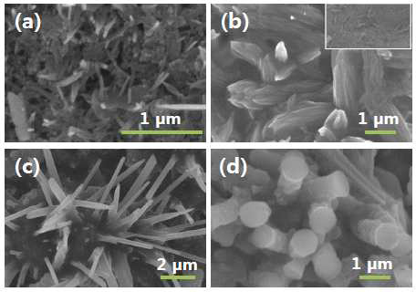 RNA 염기핵의 농도에 따른 CZTS 나노선 및 나노막대 형상을 보인 SEM 사진: (a) witjhou BM, (b) 0.01M, (c) 0.05M, (d) 0.5M