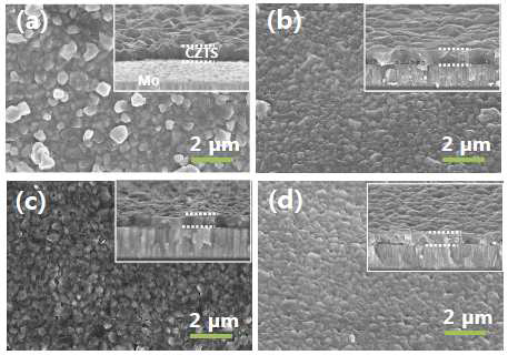 RNA 염기핵의 농도에 따른 CZTS 박막 SEM 사진: (a) witjhou BM, (b) 0.01M, (c) 0.05M, (d) 0.5M