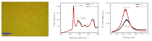 h-BN 위에서 CVD 방법을 활용하여 합성한 MoSe2 의 광학 현미경 이미지와 Raman, PL 결과