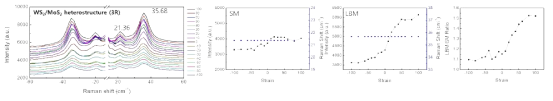 Strain 에 따른 Heterobilayer인 WS2/MoS2 의 Raman 분석 결과