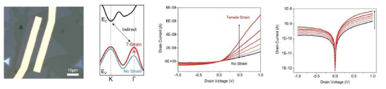 Tensile strain에 따른 MoS2 소자의 전기적 특성 변화 분석