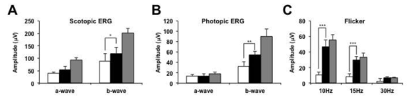 Otx2 투여를 통한 Otx2(+/GFP) 생쥐 망막퇴화 억제. (A) Otx2 단백질을 생후 13일째 Otx2(+/GFP) 생쥐의 우측 안구 내에 투여한 후 2주 후인 생후 28일에 생쥐의 ERG 반응을 조사 함. (B) Otx2를 투여한 생쥐의 경우 주로 광수용세포의 반응에 의해 나타나는 a-wave와 rod 또는 ON-cone 양극세포에 의해 나타나는 b-wave의 크기가 비투여한 왼쪽 안구에 비해 확연하게 차이 를 보이는 것을 알 수 있음. (C) 위의 PBS를 투여한 정상 Otx2(+/GFP) 생쥐 망막과 Otx2를 투여 한 생쥐 망막 내 신경세포의 분포를 면역형광염색으로 조사한 결과, PBS 투여 생쥐보다 Otx2 투여 생쥐 망막 내 Otx2 및 GFP 발현 세포 수가 급격하게 늘어나 있음을 알 수 있음. 이는 외부에서 투 여한 Otx2가 Otx2를 발현하는 세포의 퇴화를 억제할 수 있음을 시사함. 또한, 양극세포를 표지하는 Vsx2 수 역시 증가한 것을 알 수 있음. PKCalpha를 발현하는 rod 양극세포의 수도 비록 Otx2나 Chx10 발현 세포보다 낮기는 하지만 유의미한 증가를 보였다. 특히, Recoverin을 발현하는 T2 OFF-cone 양극세포의 경우는 PBS 투여 망막에서는 완전히 퇴화가 되었지만, Otx2 투여 망막에서 는 여전히 많은 수의 T2 OFF-cone 양극세포가 남아 있음. 이는 Vsx1을 발현하는 전체 OFF-cone 양극세포에도 적용되는 사실이었다. 실재로 a-wave의 증가는 hyperpolarization에 의해 나타나는 것으로 일반적으로 빛에 의해 hyperpolarization 되는 photoreceptor의 활성 증가 뿐만 아니라 OFF cone 양극세포의 활성 강화에 의해서도 나타날 가능성이 높은 것으로 알려져 있다. 따라서, rod 및 cone 광수용세포의 수는 크게 변화가 없는 반면 T2 OFF-cone을 포함한 전체적인 OFF cone 양극세포 수의 증가가 Otx2 투여 망막에서 그 퇴화가 억제되었음을 알 수 있다