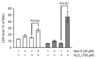 H2O2를 이용한 산화적 스트레스 하에서 necrosis inhibitor인 Necrox-5 (Nex-5)의 효과. 두 세포주에 30 uM Nex-5를 1시간 동안 전 처리 후 750 uM H2O2를 6시간 동안 처리한 후 LDH cytotoxicity assay를 이용해 세포사멸 조사