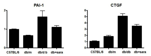 db/db mice 에 Fyn kinase 억제제를 처리하였을 때 섬유화인자의 변화