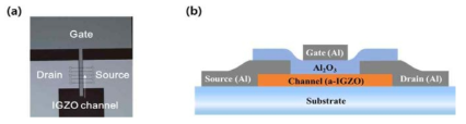 (a) 산화물 (a-IGZO) TFT의 광학현미경 이미지와 (b) 구조도