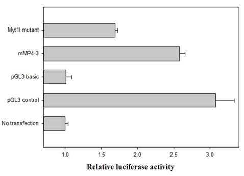 Myt1l이 결합하는 DNA서열을 mutant한 후 promoter activity가 다시 감소하는 결과