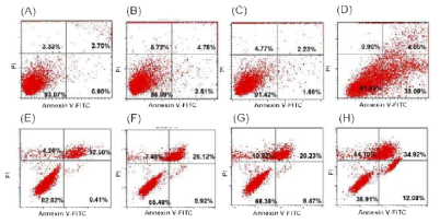 Measurement of apoptotic population induced by the extract, GM-AuNPs and GM-AgNPs on A549 cells (A, B, C and D) and NIH3T3 cells (E, F, G and H). A549 cells were treated with (A) vehicles, (B) the extract, (C) GM-AuNPs and (D) GM-AgNPs. NIH3T3 cells were treated with (E) vehicles, (F) the extract, (G) GM-AuNPs and (H) GM-AgNPs. The cells were treated with three samples (i.e. extract, GM-AuNPs and GM-AgNPs) whose concentration were 37.5 μg/mL (based on the extract concentration). The lower left quadrant, lower right quadrant and upper right quadrant represent living cells, early apoptosis and late apoptosis (and dead cells), respectively