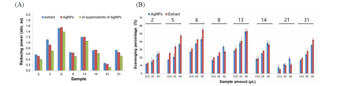 Reducing power (A) and DPPH free radical scavenging activity of the AgNPs green-synthesized with the selected eight extracts